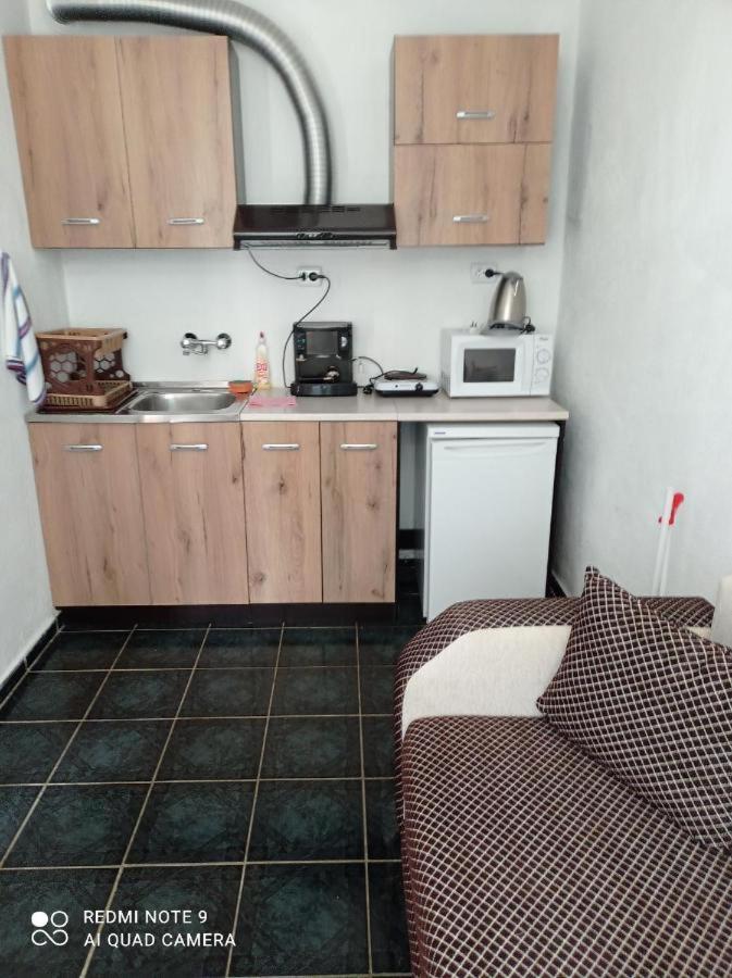 Вила Сириус Sinemoreț Exterior foto