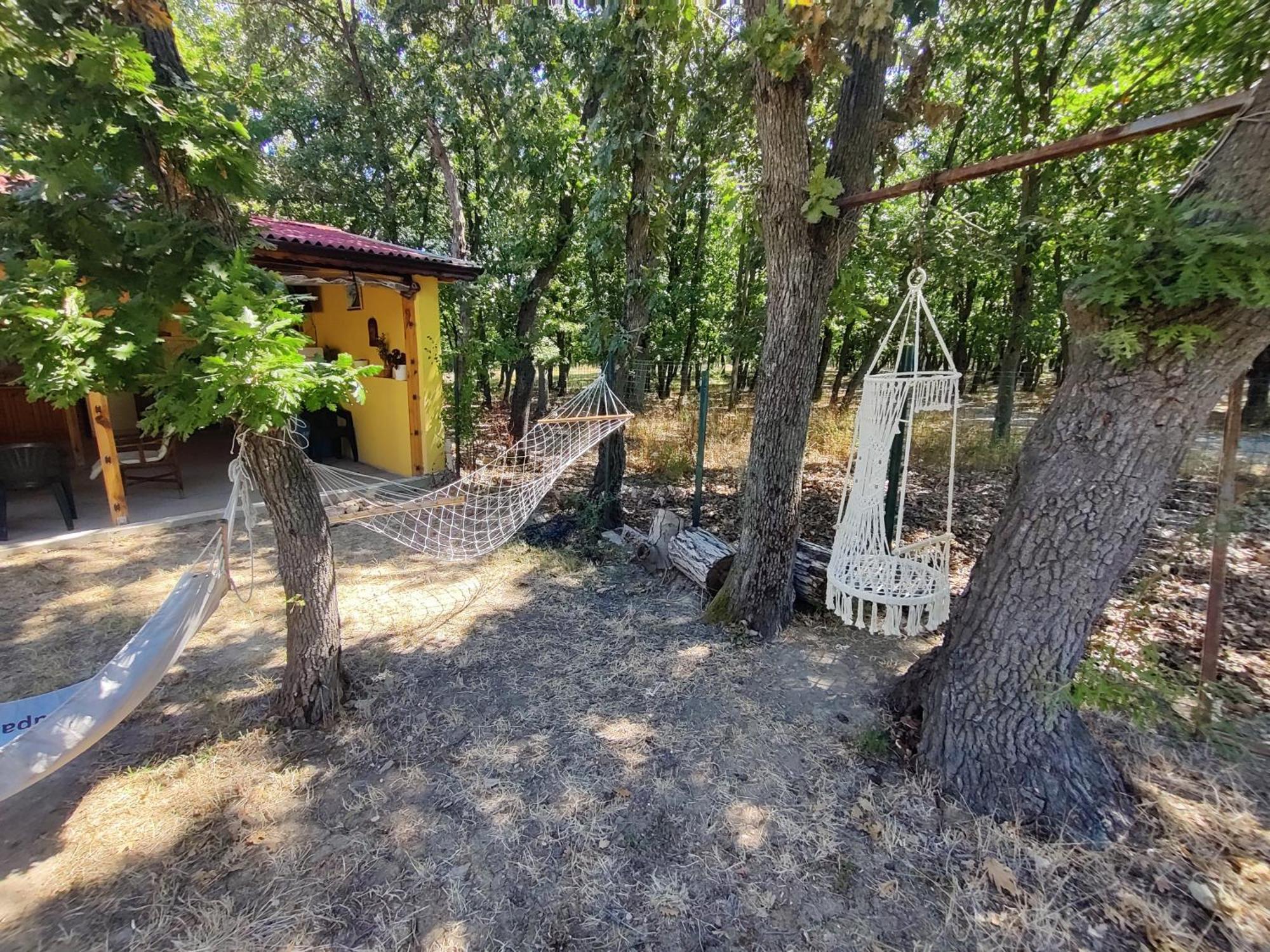 Вила Сириус Sinemoreț Exterior foto