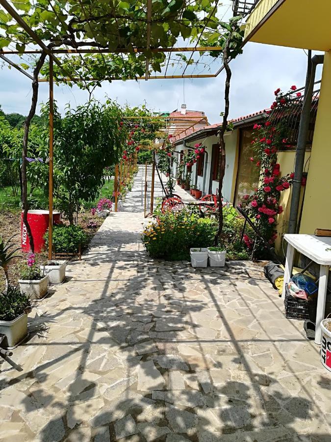 Вила Сириус Sinemoreț Exterior foto