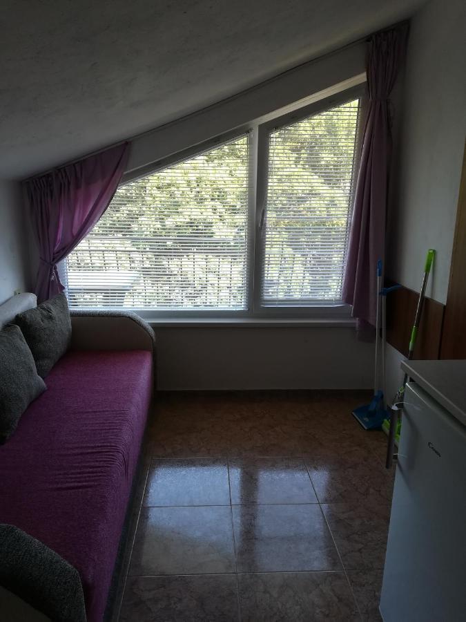 Вила Сириус Sinemoreț Exterior foto
